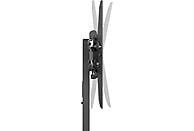 Soporte TV de pie - FONESTAR STS-4244N, De 32 "a 65 ", 100 x 100, 200 x 100, 200 x 200, 300 x 200, 300 x 300, 400 x 200, 400 x 300, 400 x 400, Negro