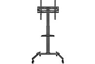 Soporte TV de pie - FONESTAR STS-4244N, De 32 "a 65 ", 100 x 100, 200 x 100, 200 x 200, 300 x 200, 300 x 300, 400 x 200, 400 x 300, 400 x 400, Negro