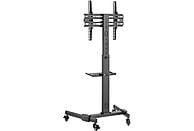 Soporte TV de pie - FONESTAR STS-4244N, De 32 "a 65 ", 100 x 100, 200 x 100, 200 x 200, 300 x 200, 300 x 300, 400 x 200, 400 x 300, 400 x 400, Negro